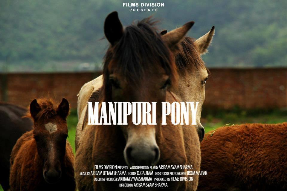 Manipuri Pony (2012)