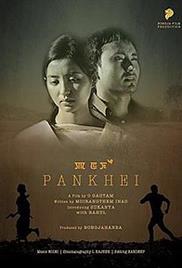 Pankhei (2015)